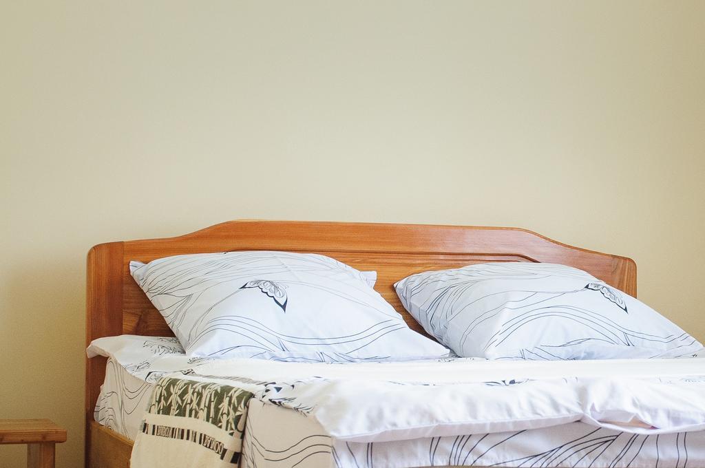 Karpatskiy Maetok Apartment Verkhovyna Ngoại thất bức ảnh